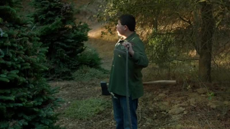 Кадры из сериала Американская семейка (2009)